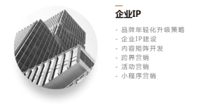 - 品牌年轻化升级策略 - 企业IP建设 - 内容矩阵开发 - 跨界营销 - 活动营销 - 小程序营销