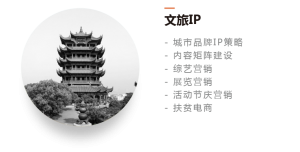 - 城市品牌IP策略 - 内容矩阵建设 - 综艺营销 - 展览营销 - 活动节庆营销 - 扶贫电商