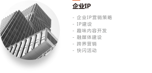 企业IP