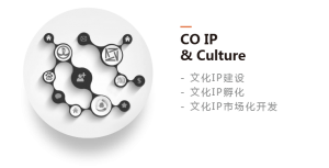 - 文化IP建设 - 文化IP孵化 - 文化IP市场化开发