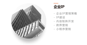 - 企业IP营销策略 - IP建设 - 内容矩阵开发 - 跨界营销 - 小程序营销