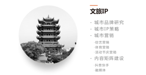 - 城市品牌研究 - 城市IP策略 - 城市营销 ·综艺营销 ·体育营销 ·活动节庆营销 - 内容矩阵建设 ·抖音快手 ·融媒体